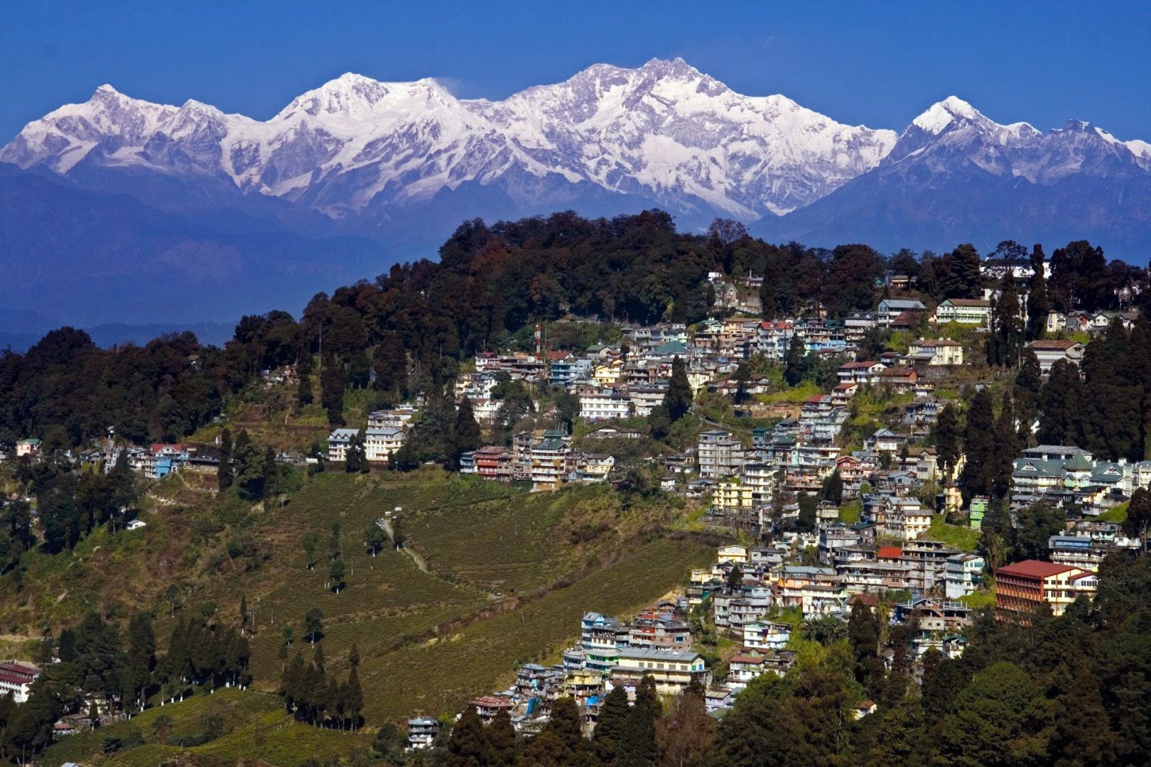 tourist places in darjeeling and gangtok